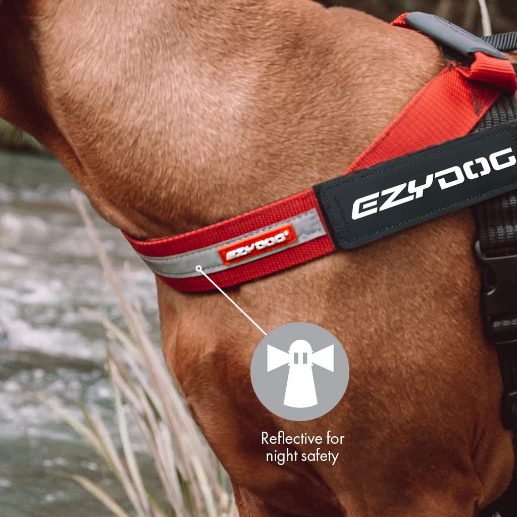EzyDog Express Harness uses PP webbing for durable, soft daily wear.