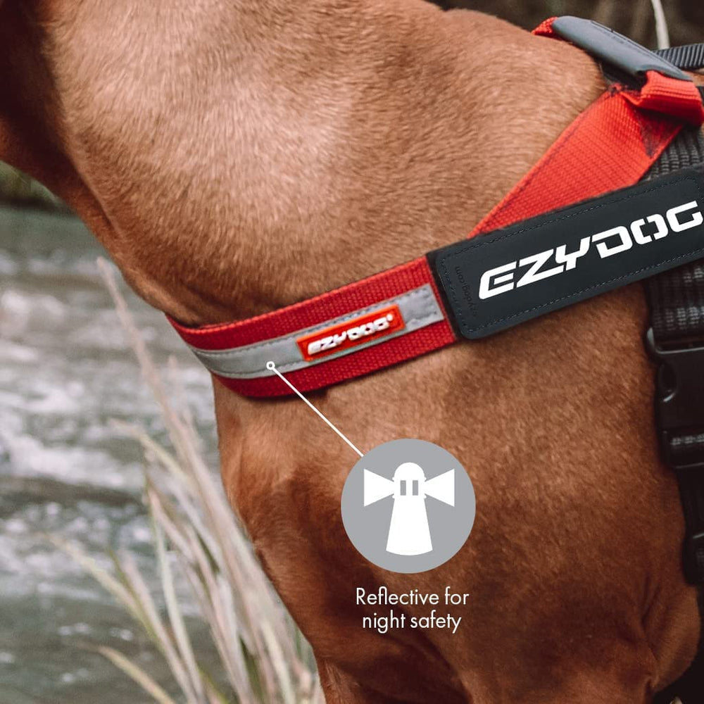 EzyDog Express Harness uses PP webbing for durable, soft daily wear.
