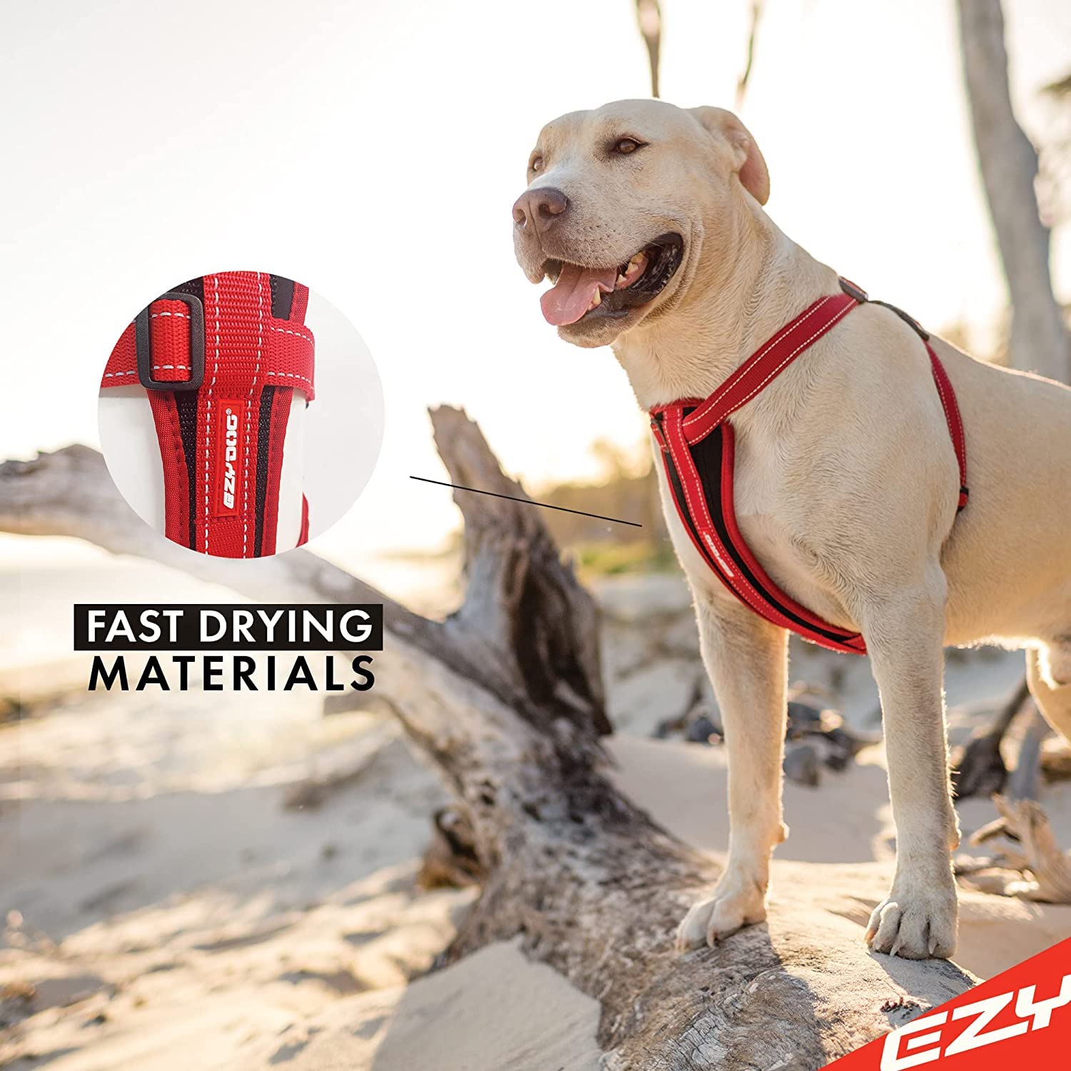 EzyDog harness highlighting comfort padding on chest plate for snug fit
