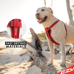 EzyDog harness highlighting comfort padding on chest plate for snug fit