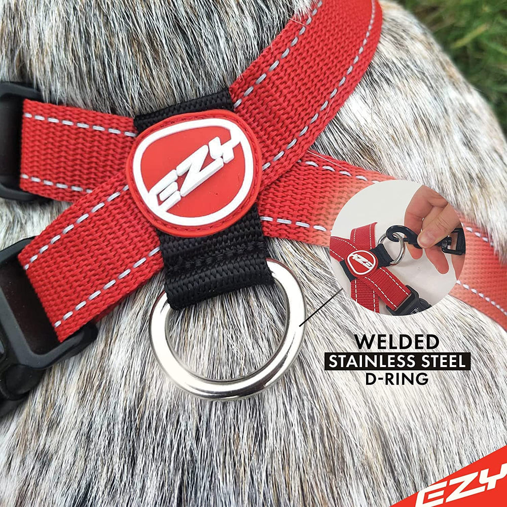 EzyDog quick-release buckles shown for easy on-off wearing