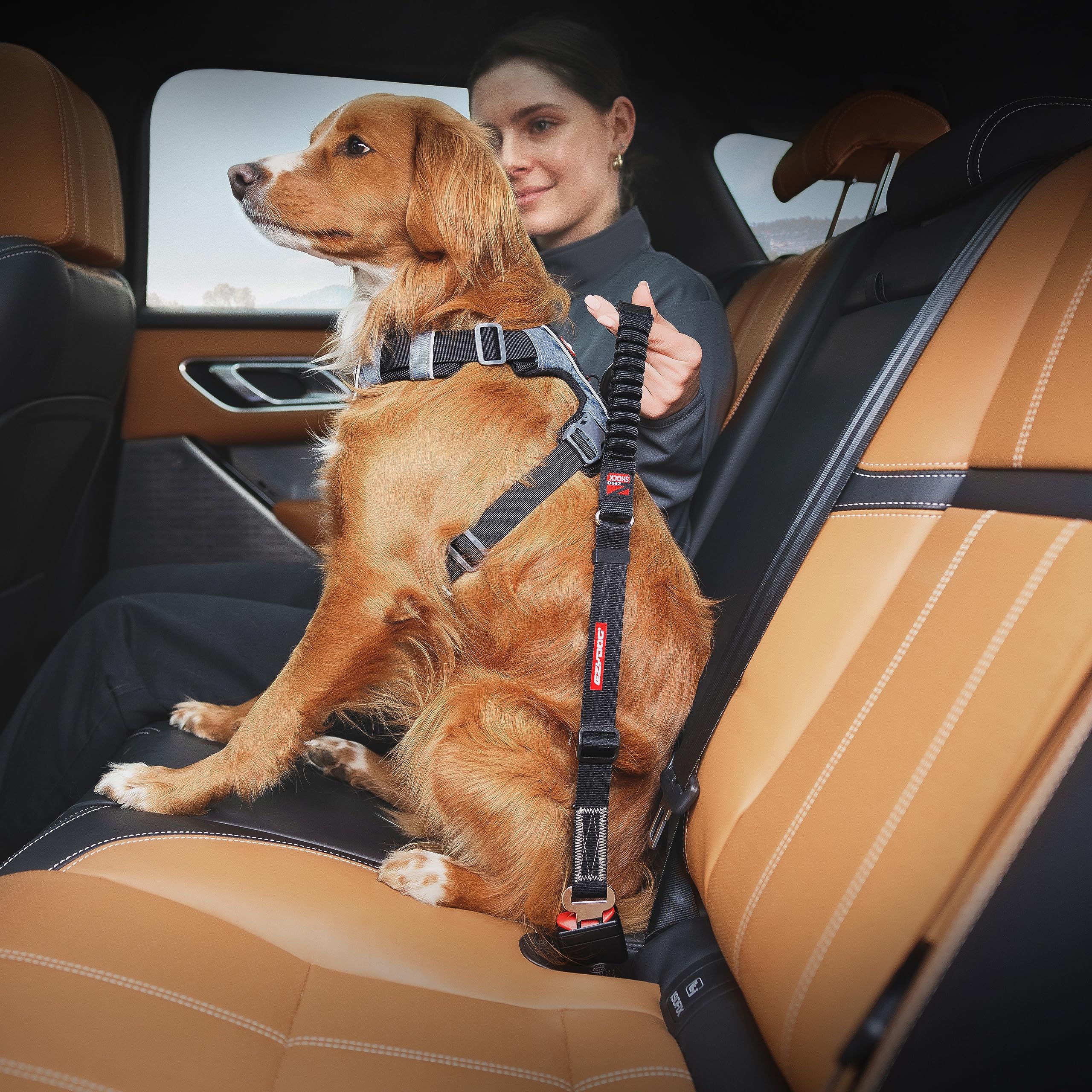 ezydog swivel-hook close-up demonstrates durable abrasion-resistant connection for secure trips