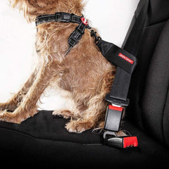 EzyDog harness clip attachment demonstrates quick secure fit with harness.