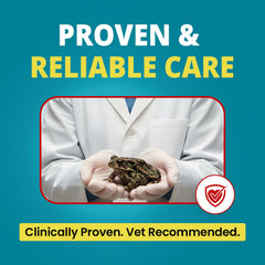 Gloved-hand applying F10 antiseptic wound spray on a small animal.