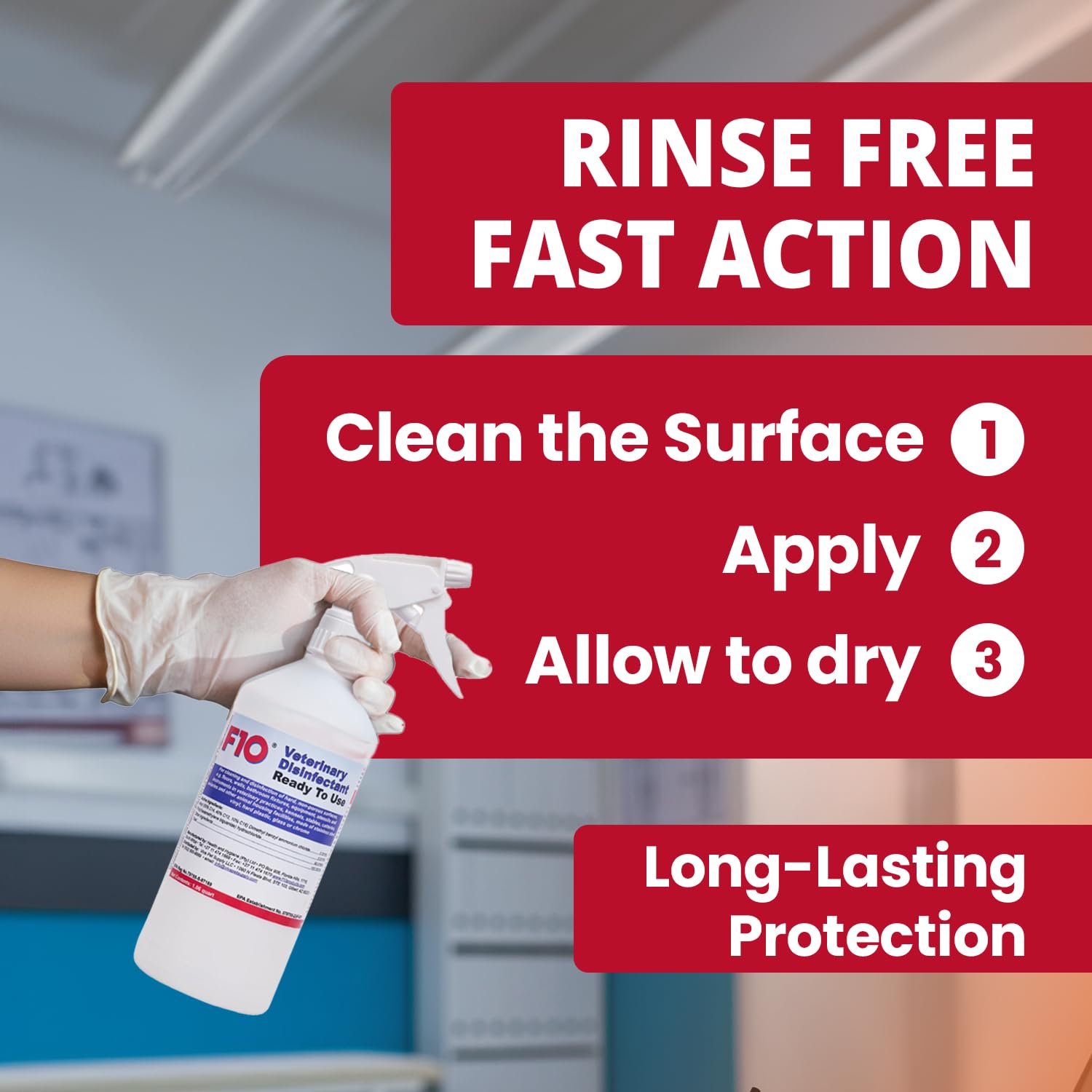 F10 kennel disinfection in action with fast-acting surface cleaning