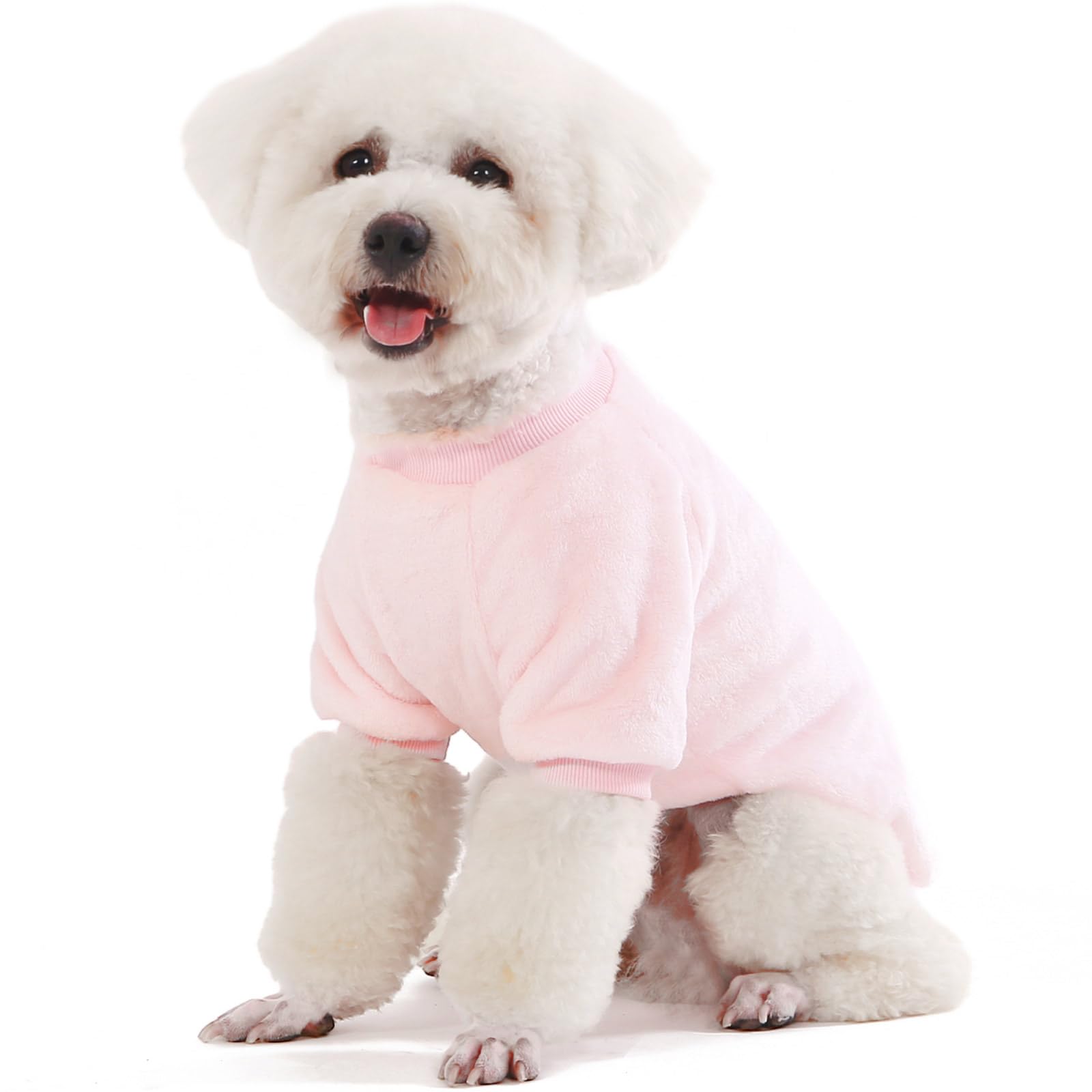 FABRICASTLE dog sweater on tiny pup outdoors, snug and warm.