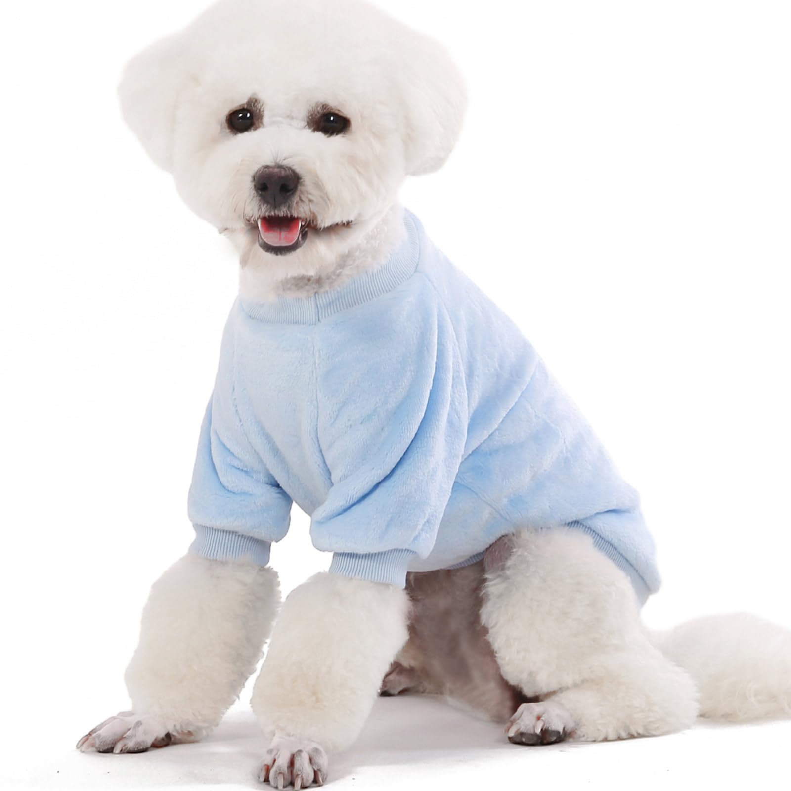 FABRICASTLE size chart illustrates XXS-XXL for tiny dogs.