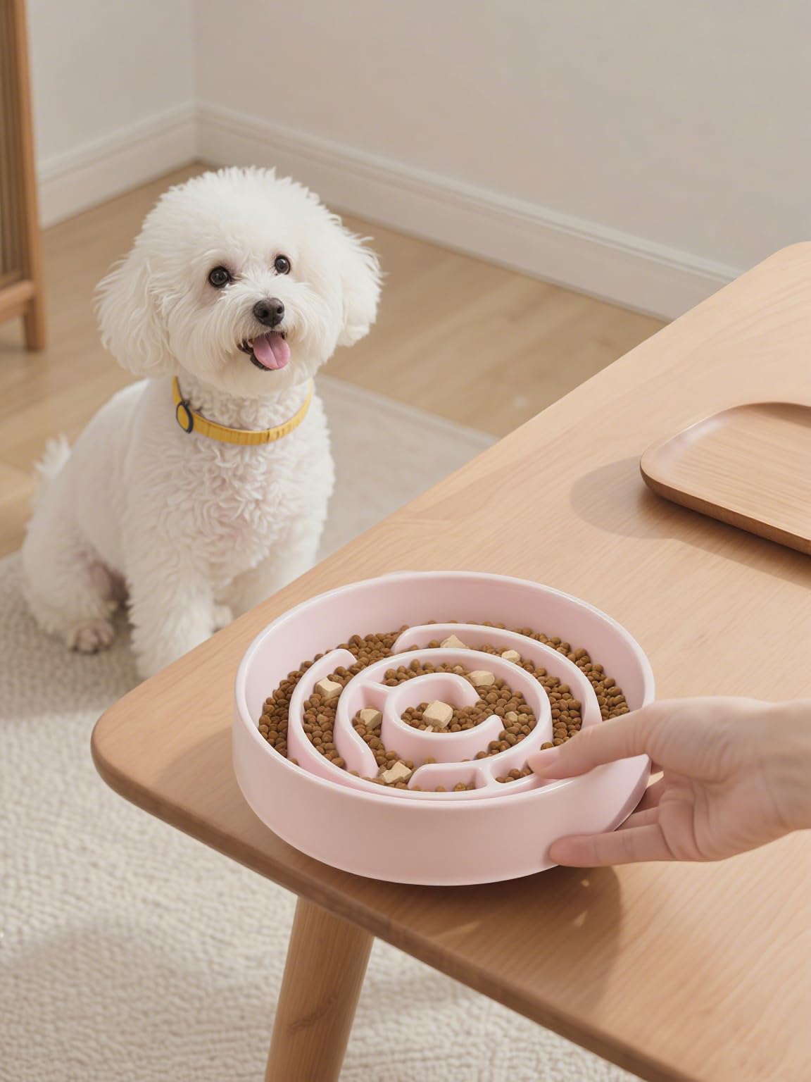 Facdiary boredom and anxiety reducer bowl supports relaxed feeding sessions