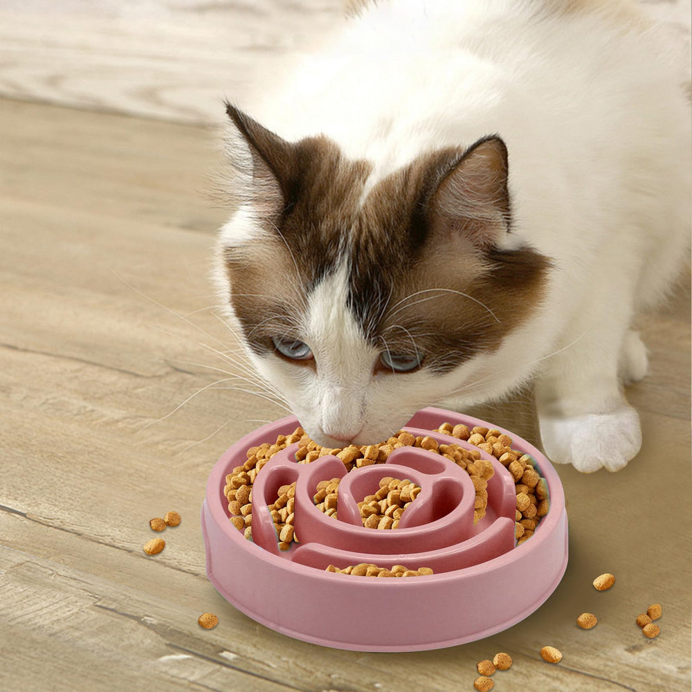 Facdiary cat and dog feeding bowl demonstrates versatile pet use.