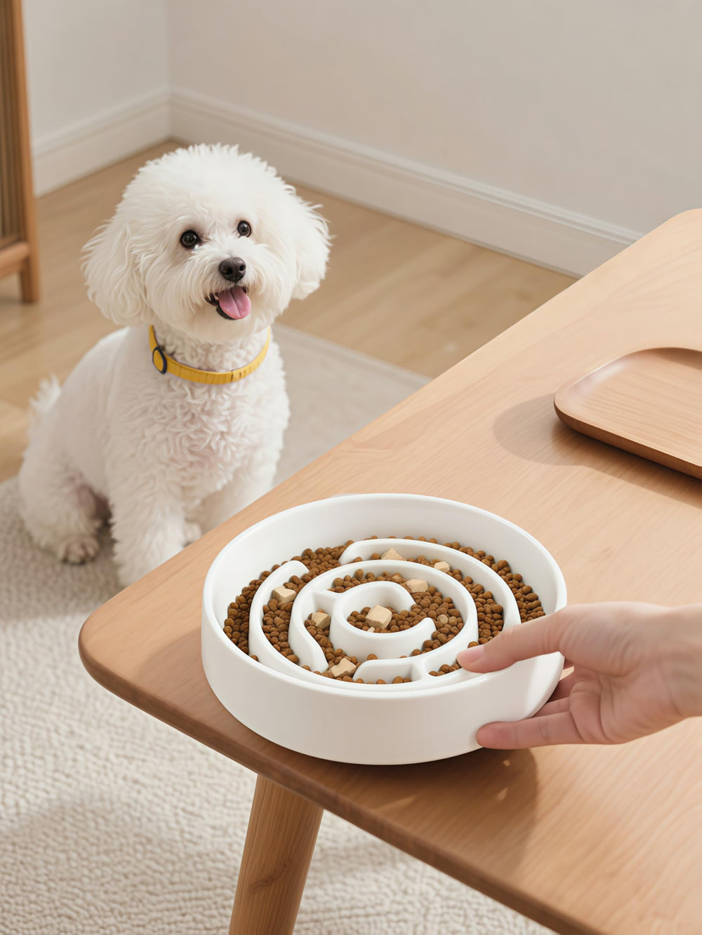 Facdiary slow-feeder bowl for dogs and cats supports versatile multi-species mealtimes.