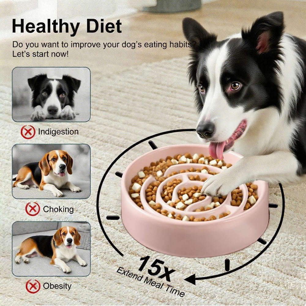 Facdiary labyrinth pattern mealtime promotes engagement and longer eating