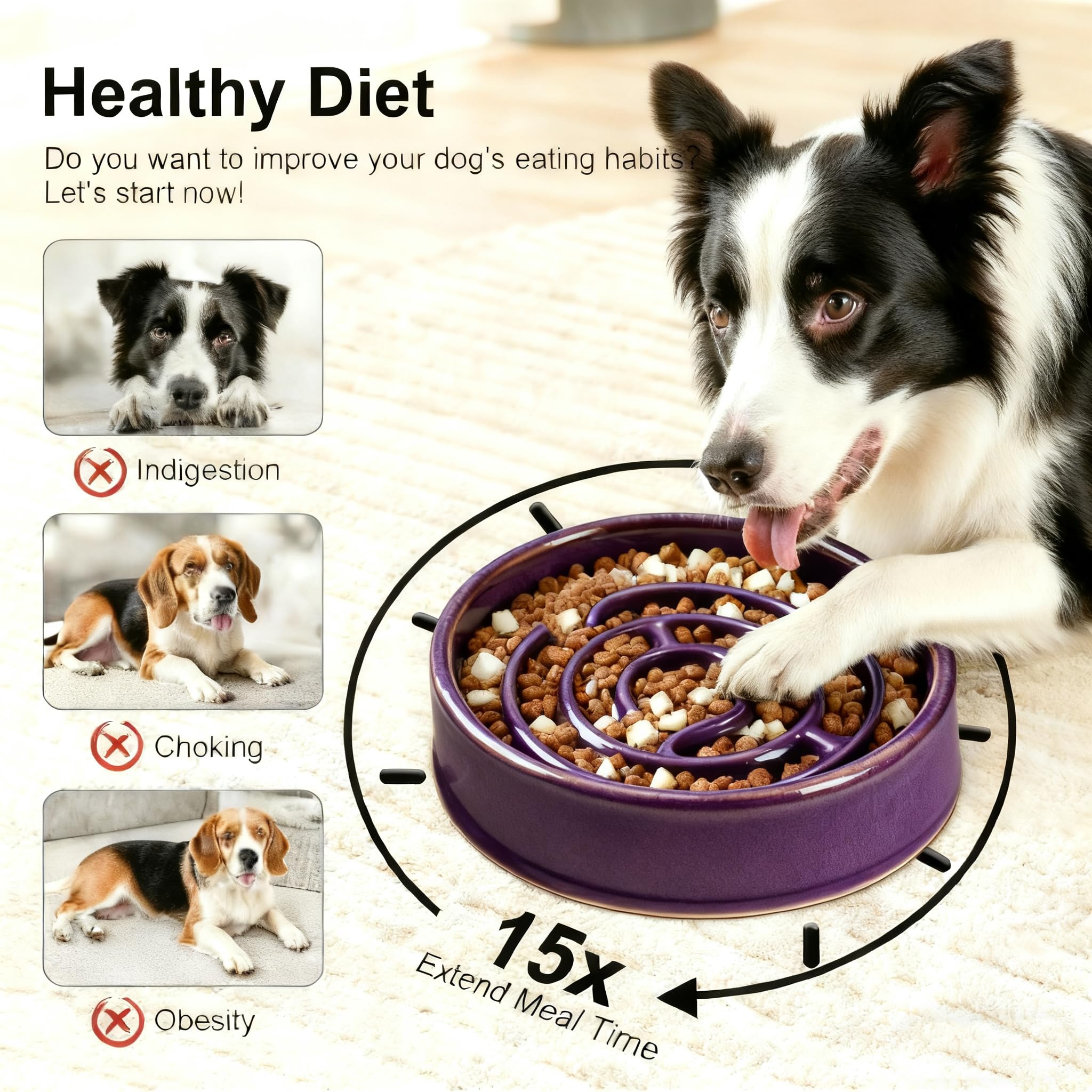 Facdiary purple slow feeder may reduce boredom during pet meals