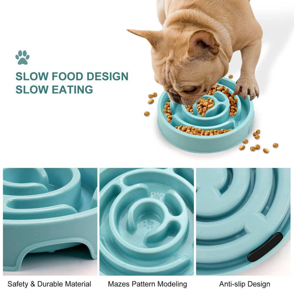 Facdiary slow-feeder bowl supports dry, wet, and raw food diets.