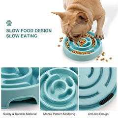Facdiary slow-feeder bowl supports dry, wet, and raw food diets.
