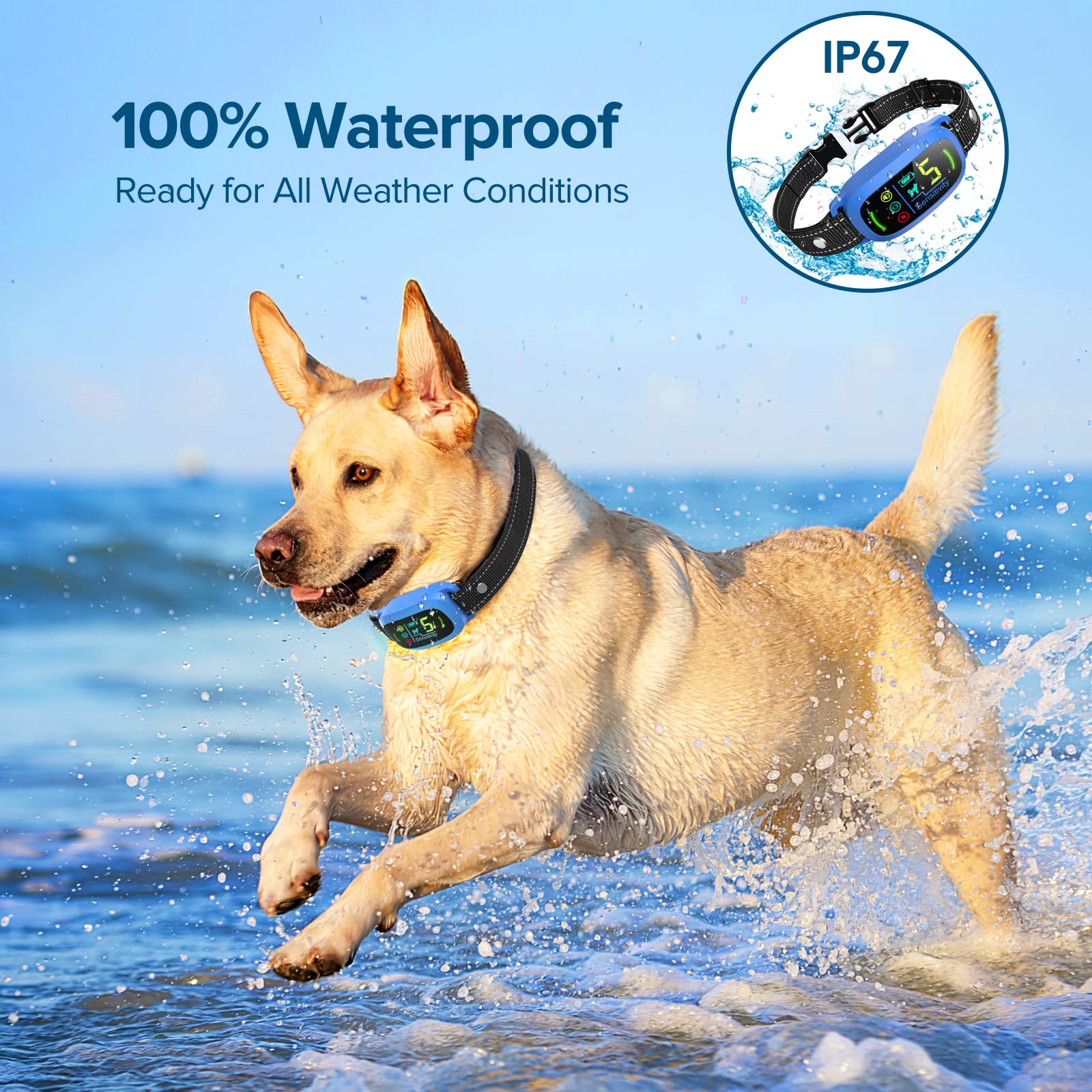 FAFAFROG Bark Collar blue waterproof design for pool, park, or backyard