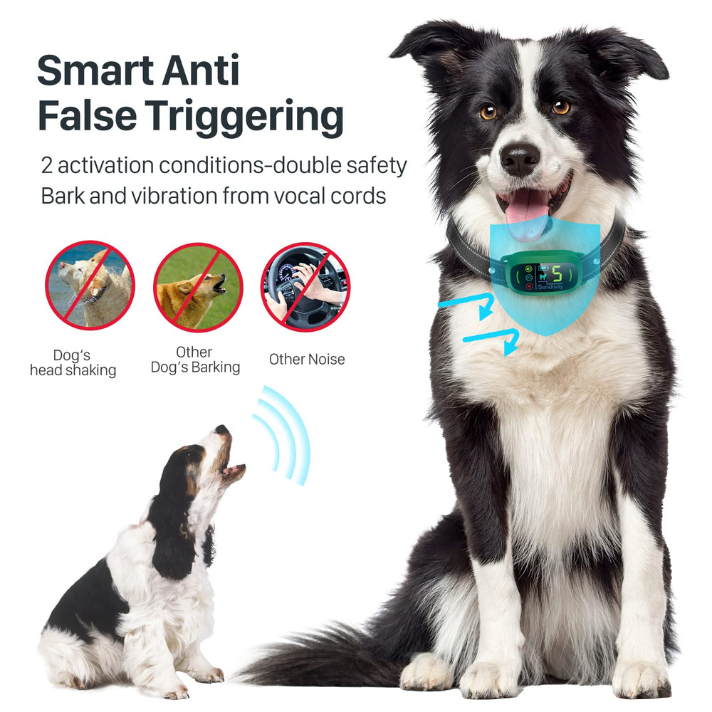 FAFAFROG Bark Collar IP67 waterproof enables training at pool, beach, or rain