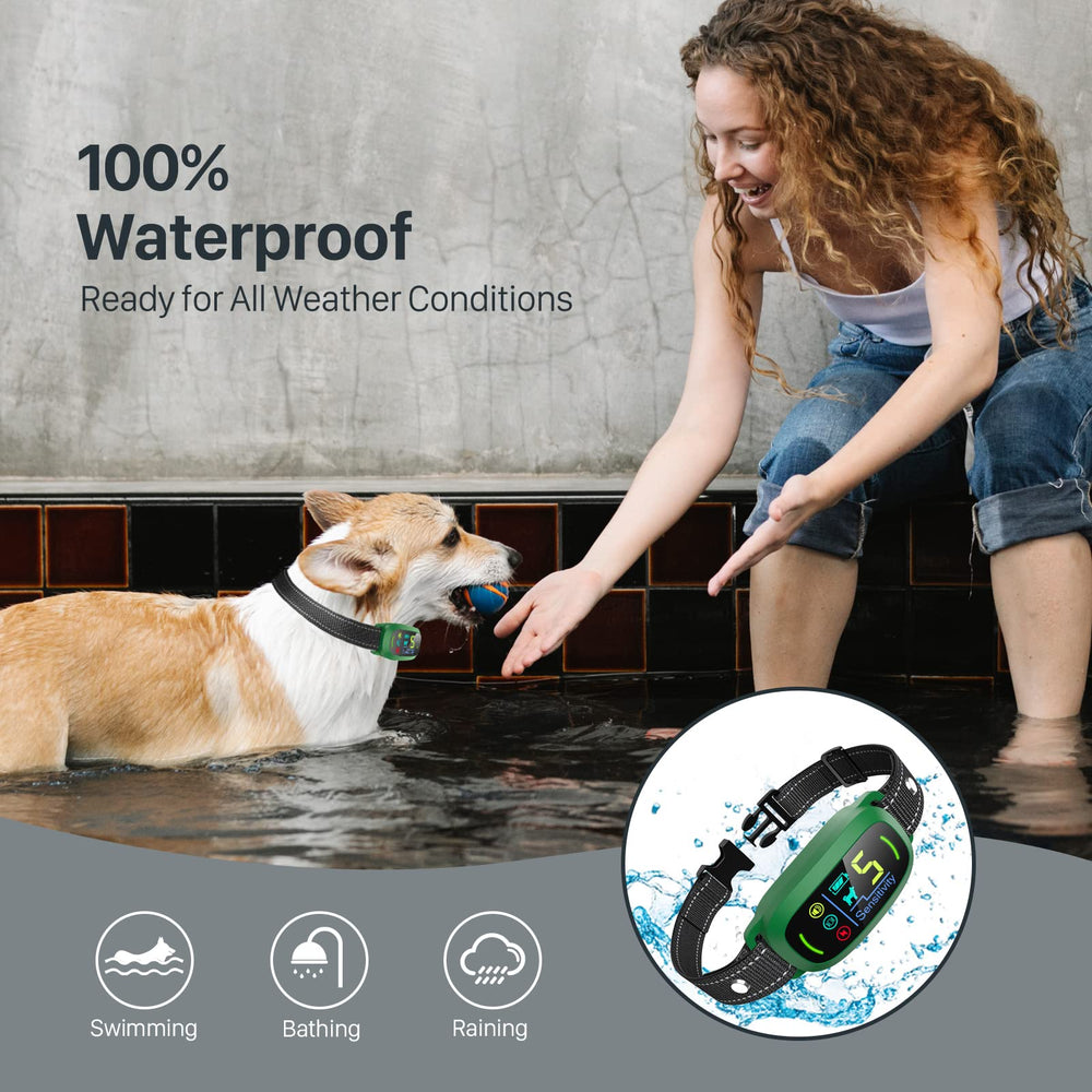 FAFAFROG Bark Collar training-use scene shows obedient, calm dogs during walks