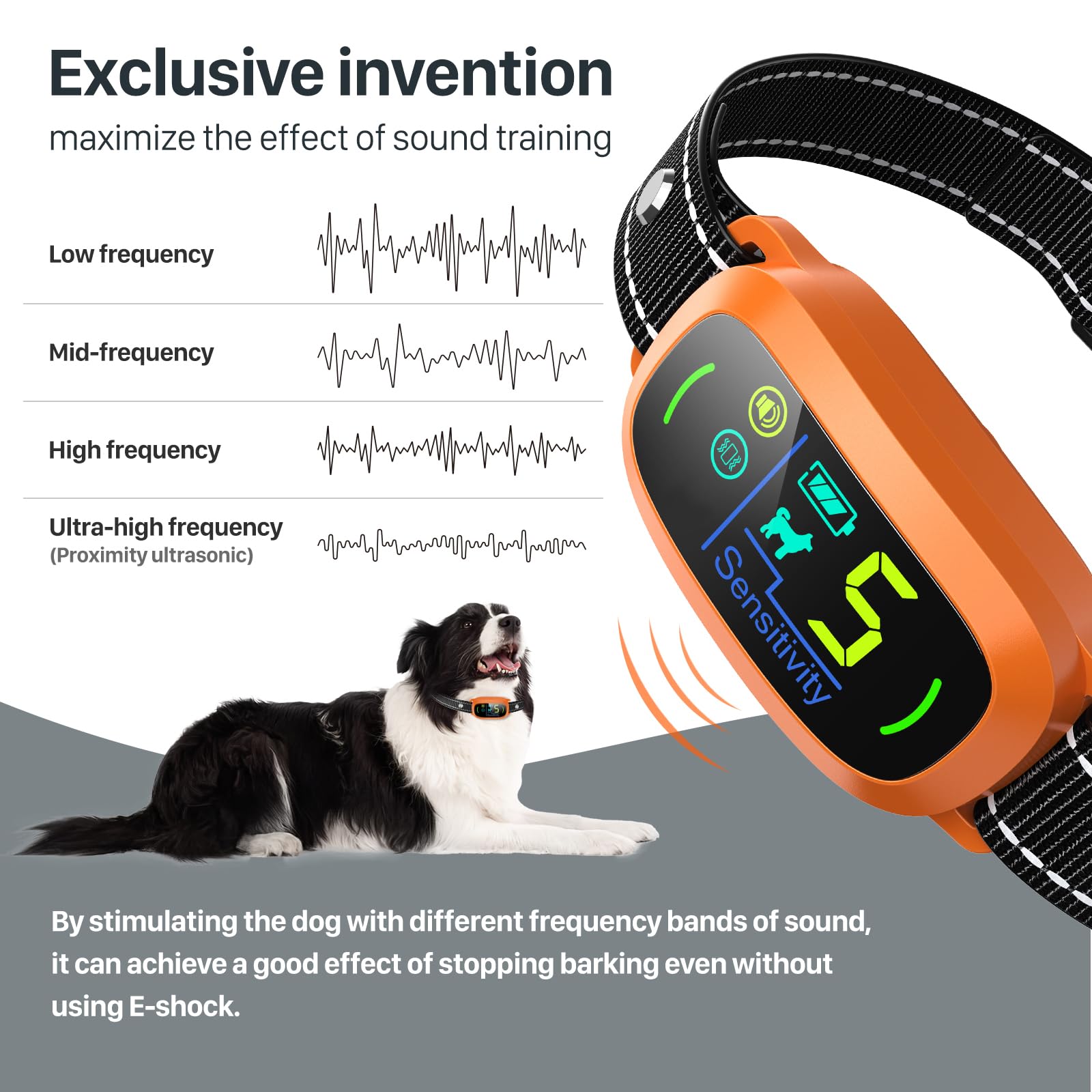 FAFAFROG bark collar orange design ready for outdoor training