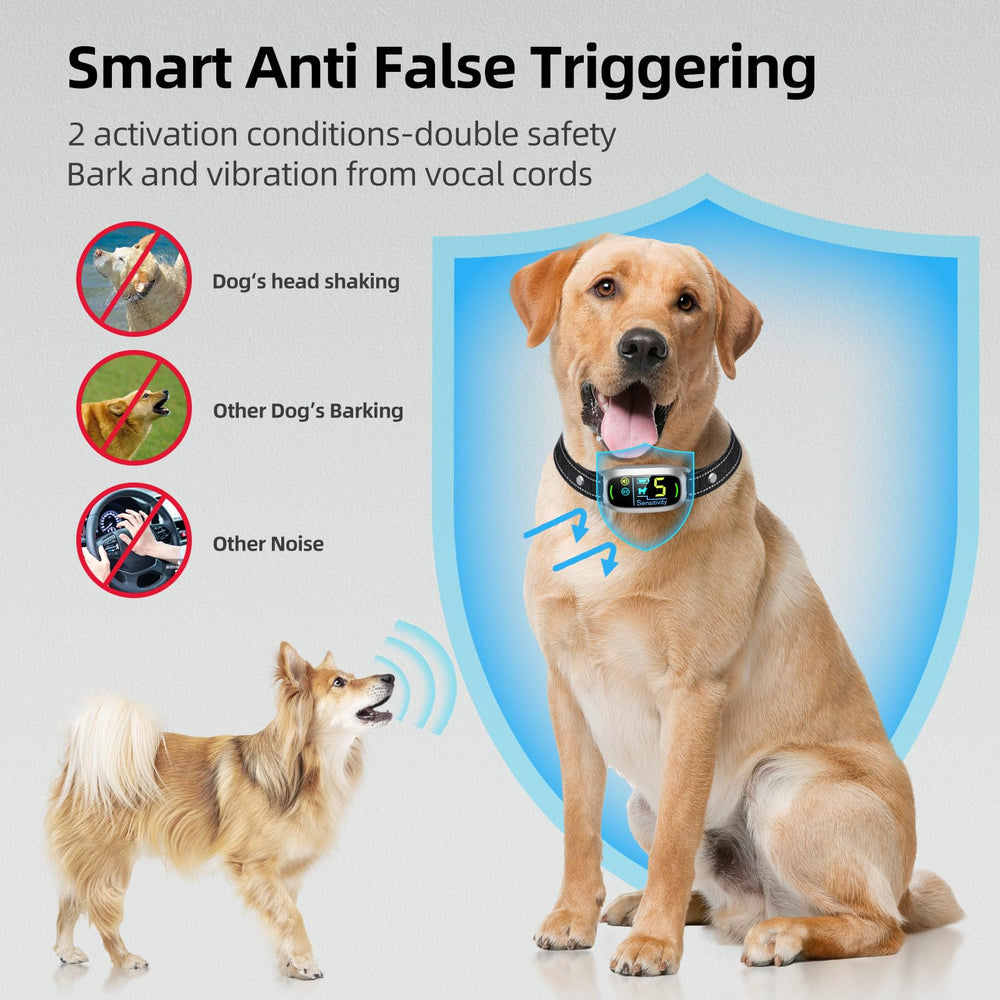FAFAFROG bark collar silver waterproof enables training by pool, rain, or beach