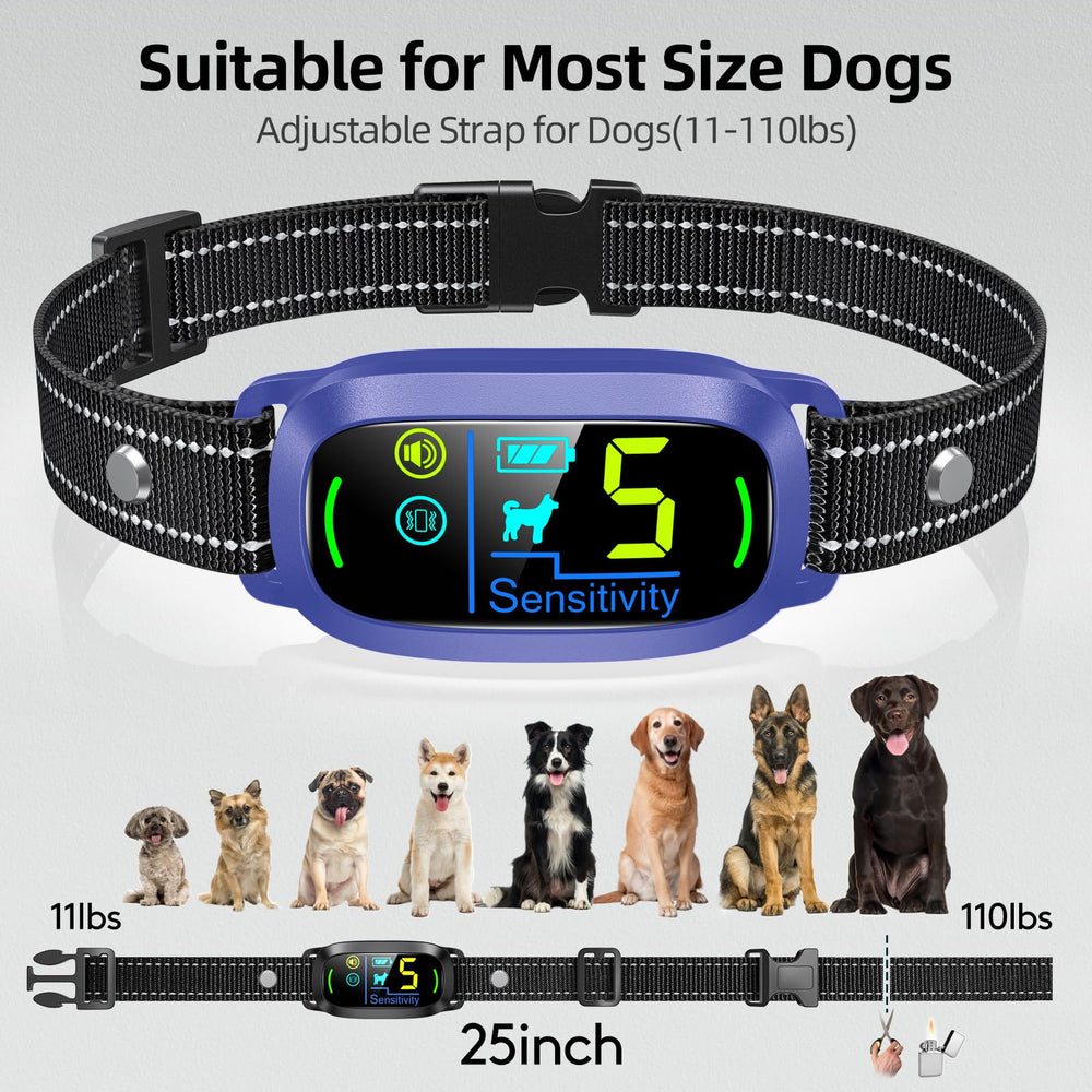 FAFAFROG bark collar during a walk to reduce barking.