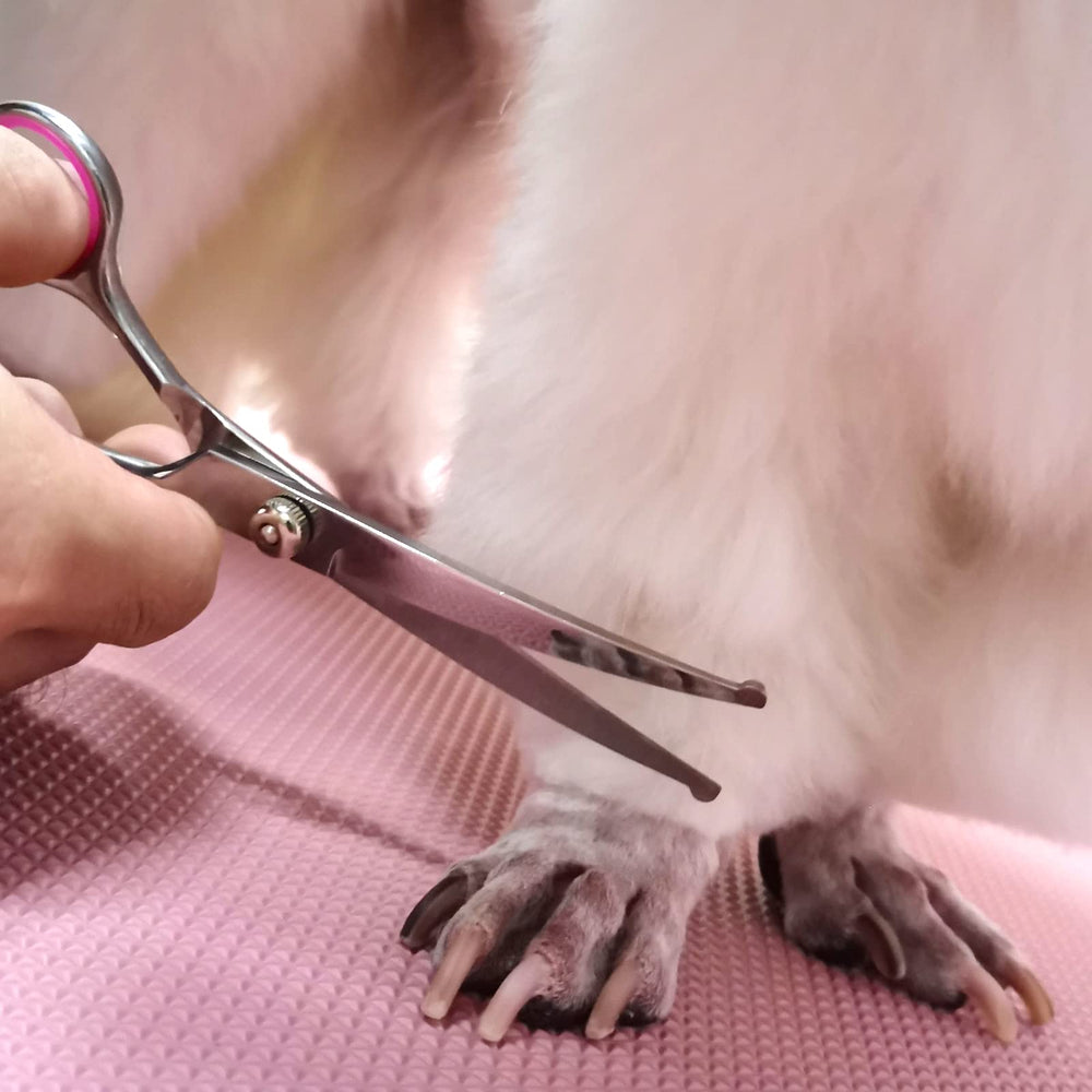 FAIGEO safety tips feature emphasizes rounded ends for pet-friendly grooming