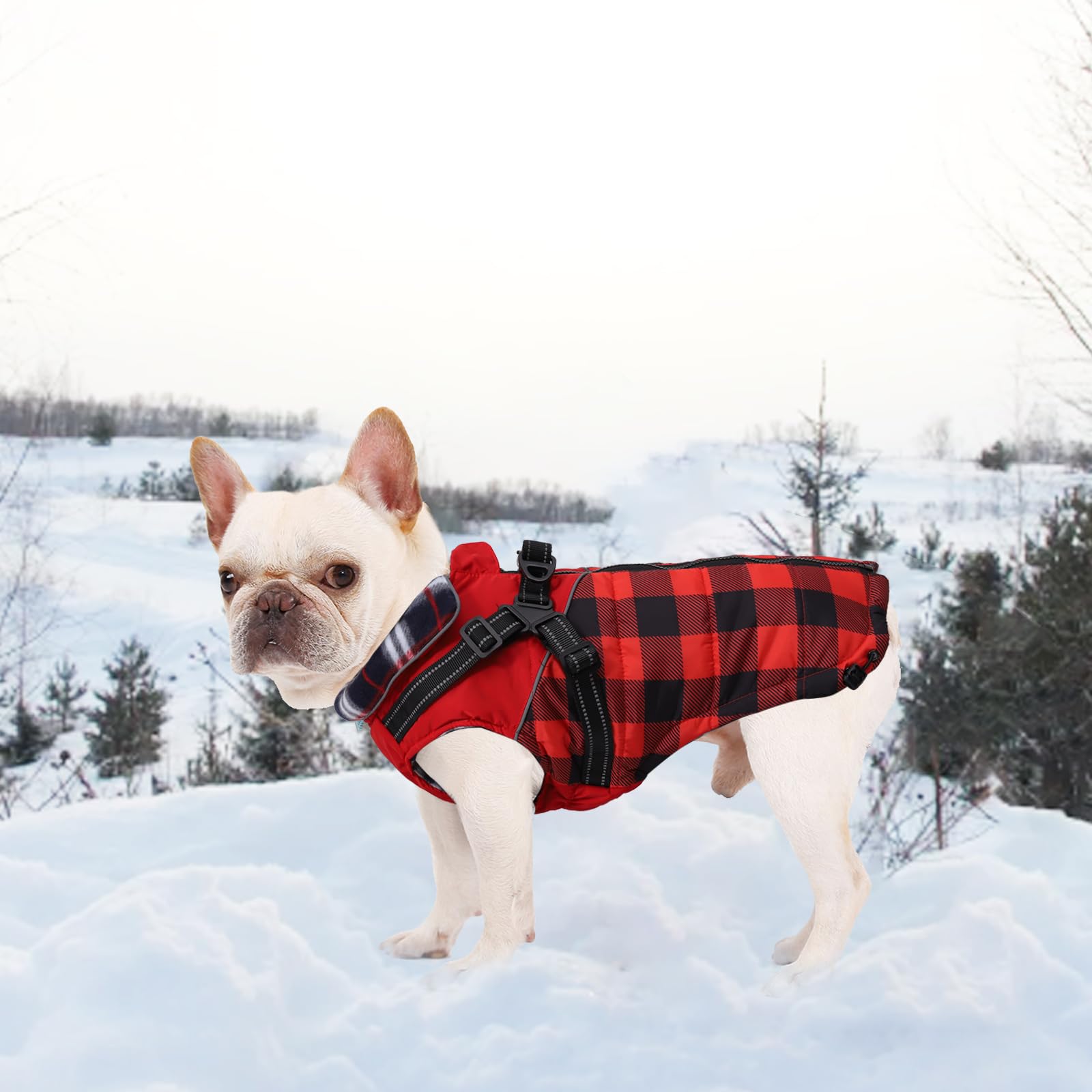 Faihats dog coat with harness plaidred x-large leash attachment detail.
