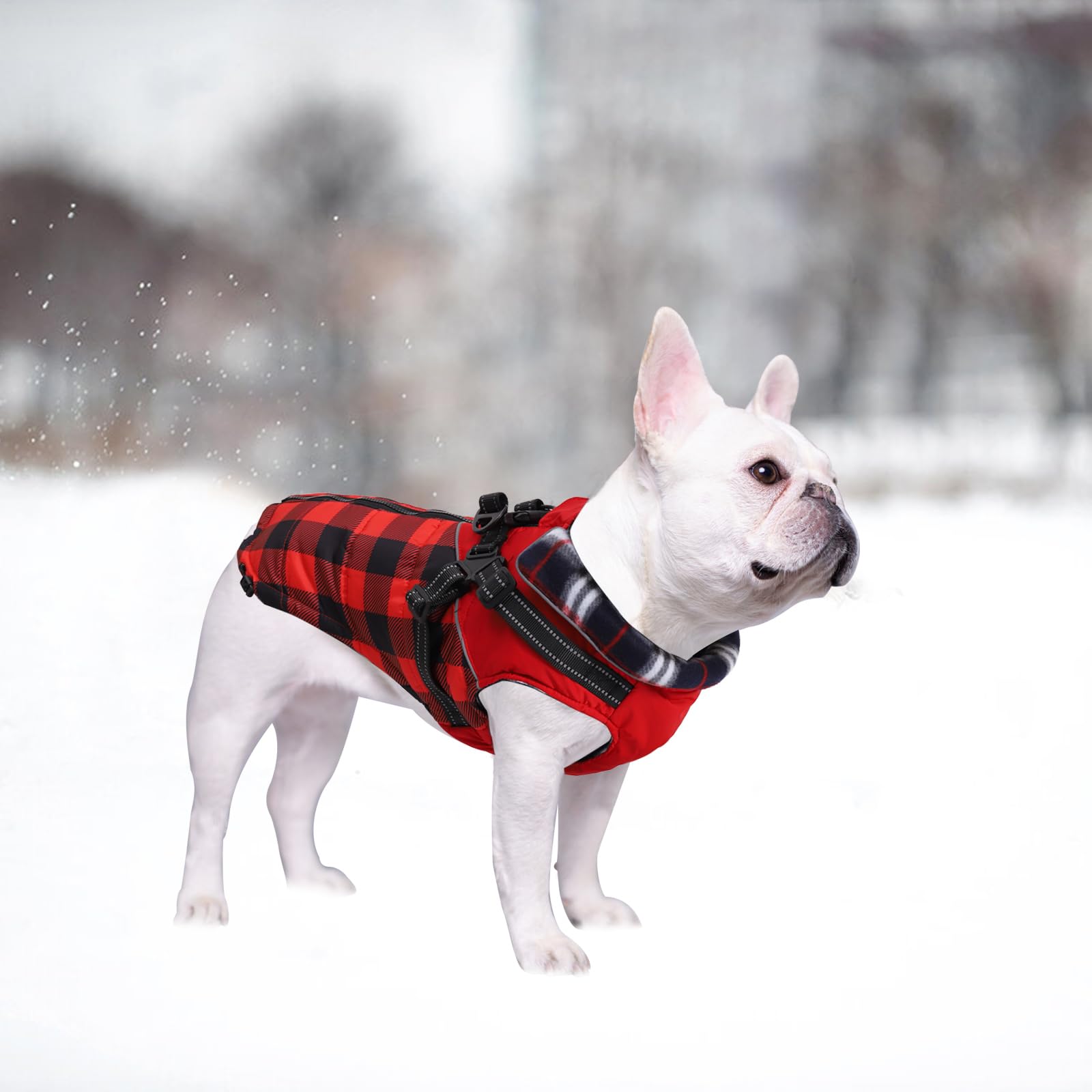 Faihats coat plaid red drawstrings adjust snug fit for dogs.