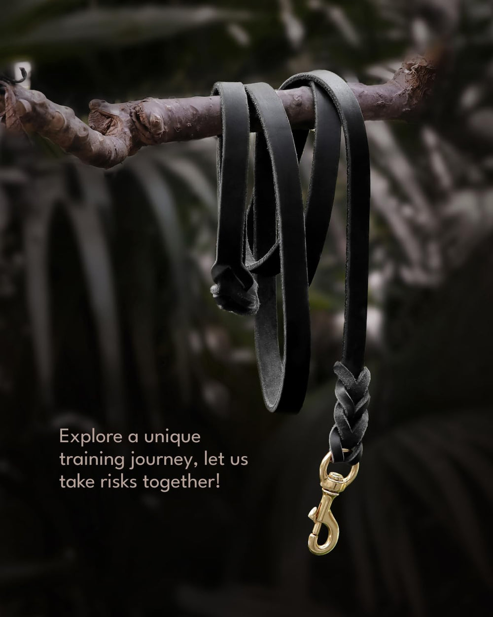 FAIRWIN exclusive dog leash box packaging suitable as a premium gift for dog owners.