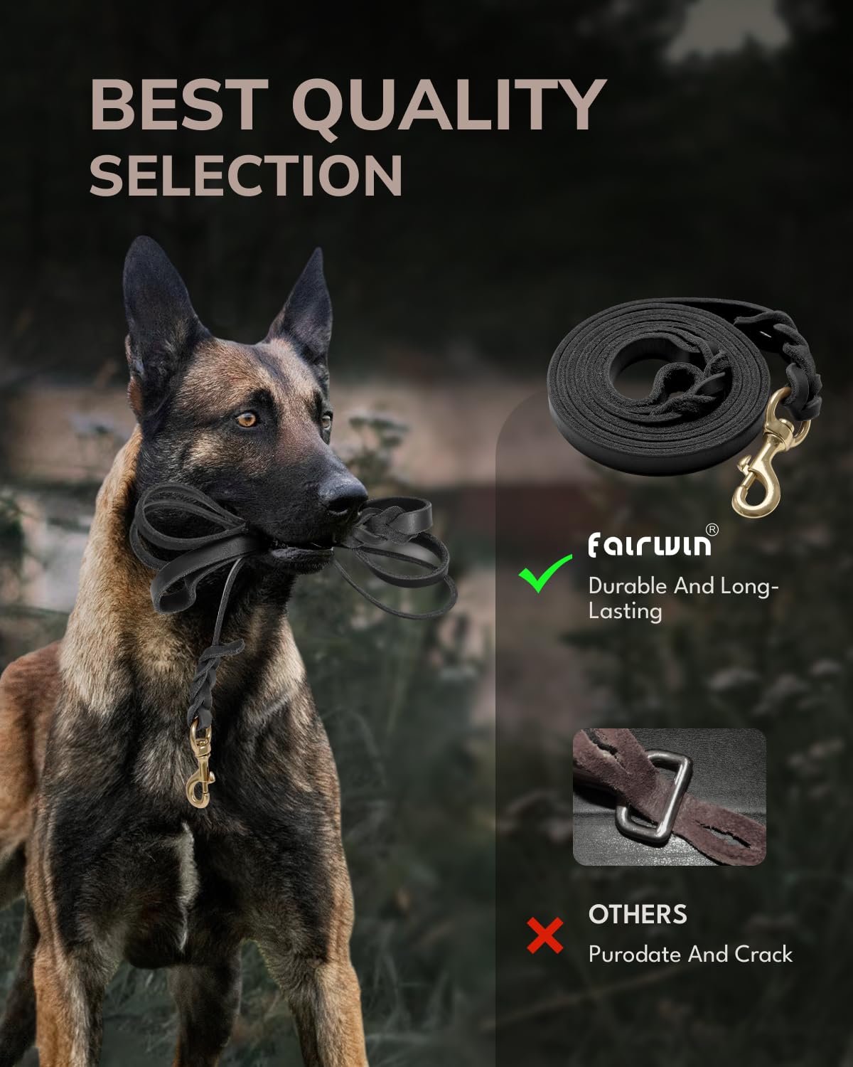 FAIRWIN leash in backyard demonstrates relaxed training and gentle guidance at home.