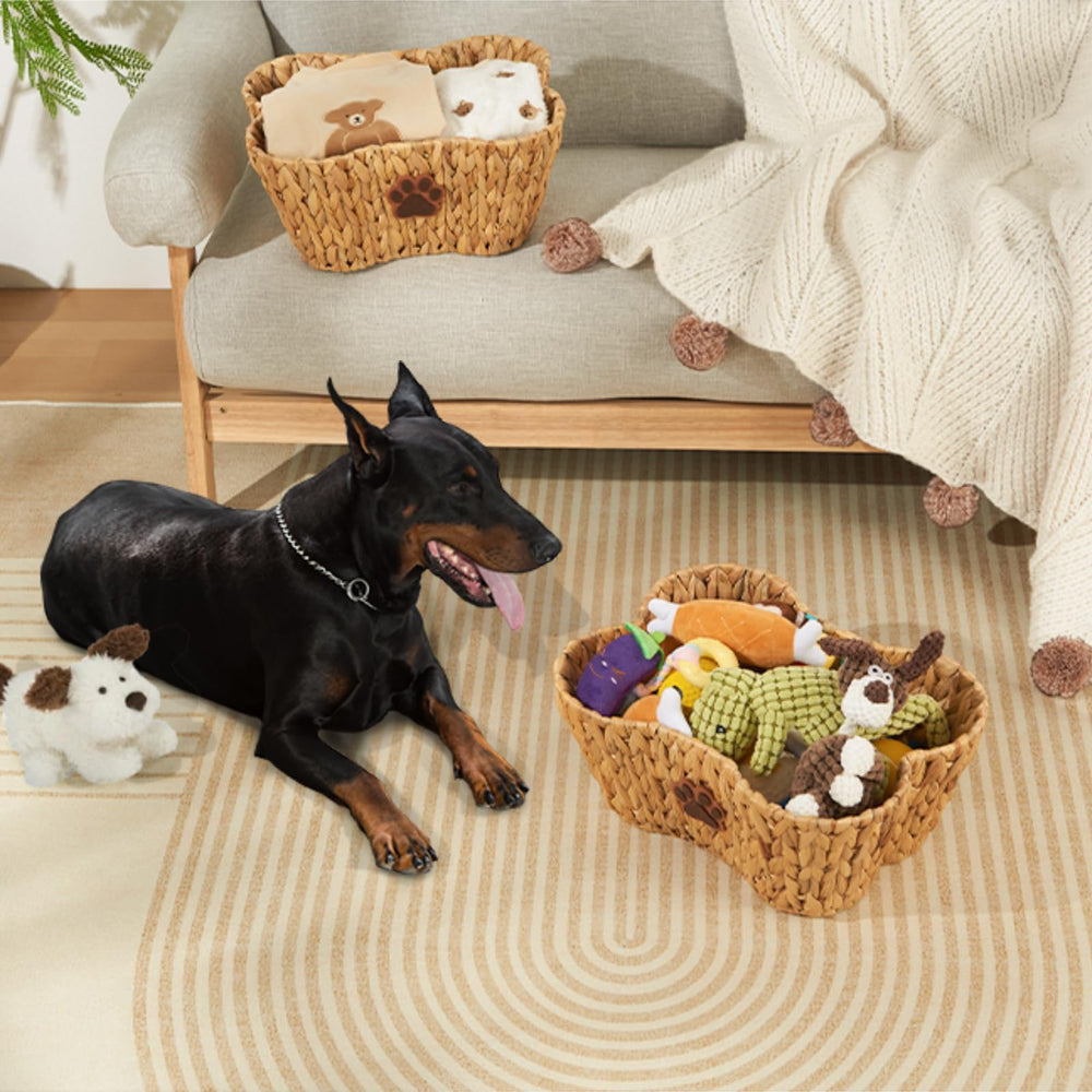 FairyHaus decorative basket enhances home decor while concealing gear.