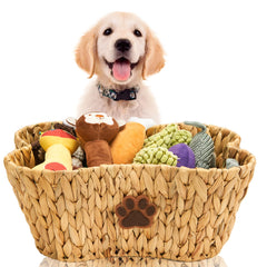 FairyHaus wicker dog toy basket with bone-shape design for organized toys.