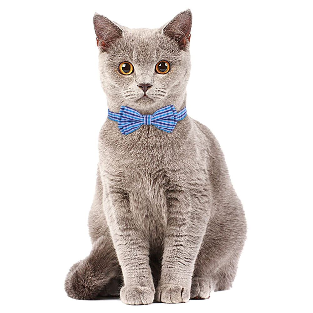 Faleela adjustable cat-collar: fits 7.5–10.8 inches