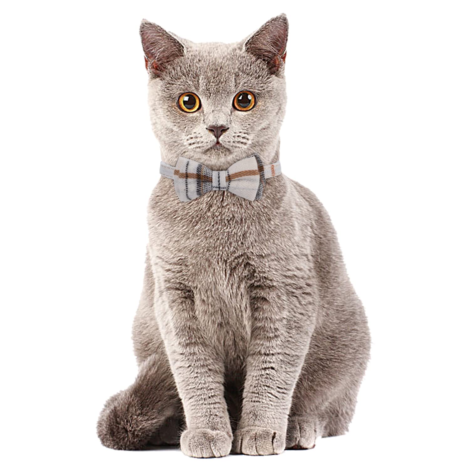 Faleela cat collar with bell helps locate your cat during activities.