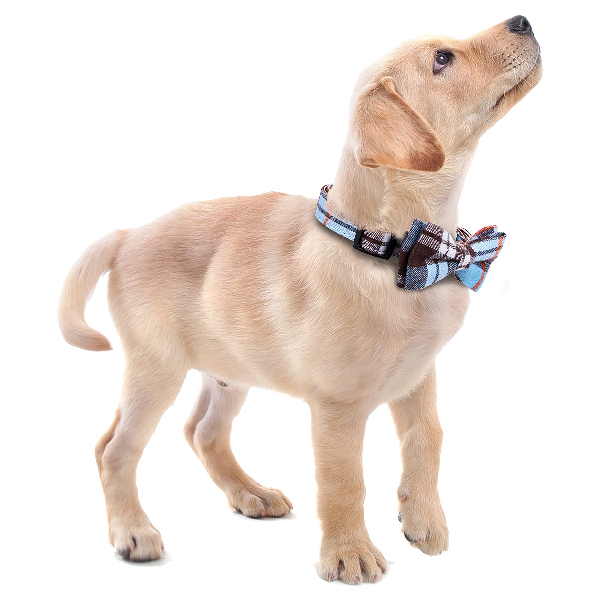 Faleela hand-sewn bowtie attachment adds classic charm with secure fit