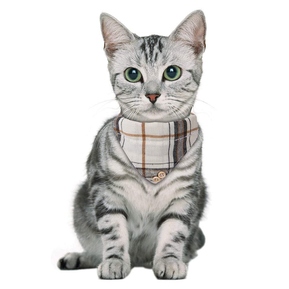 Faleela two-pack cat collars with bells for versatile styling options