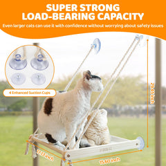 Famifit Cat Window Perch pine frame highlighting natural durability and eco-friendly construction