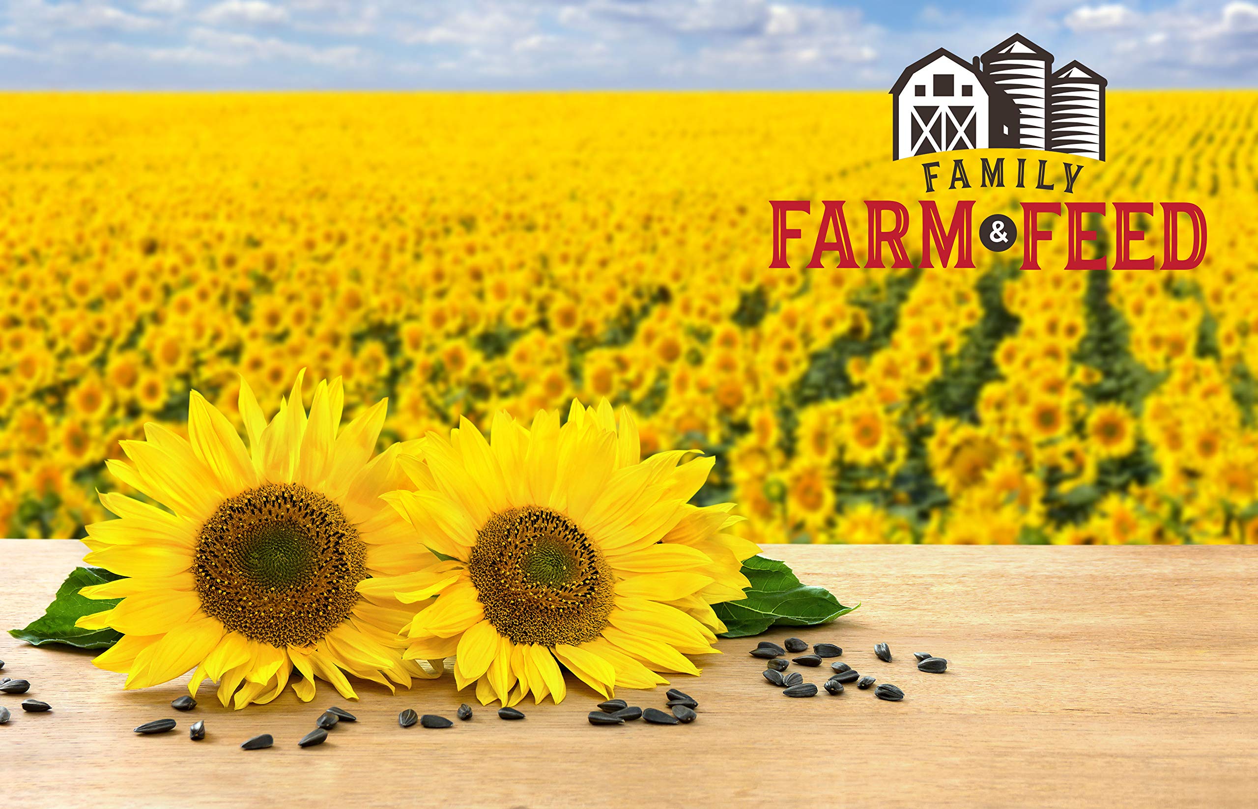 Family Farm and Feed backyard bird feeding setup with multiple species enjoying seeds