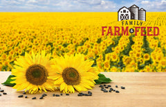 Family Farm and Feed backyard bird feeding setup with multiple species enjoying seeds