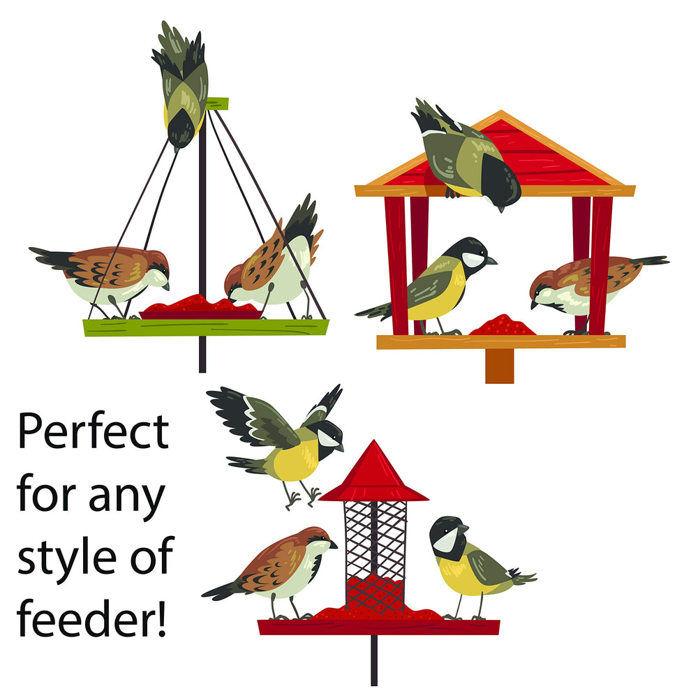 Family Farm and Feed close-up of seeds highlighting energy-rich nutrition for year-round bird feeding