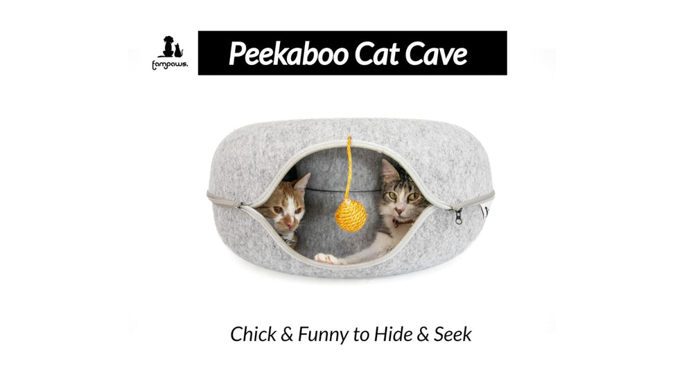 FAMPAWS ventilated window view highlights interactive play and owner-pet bonding.