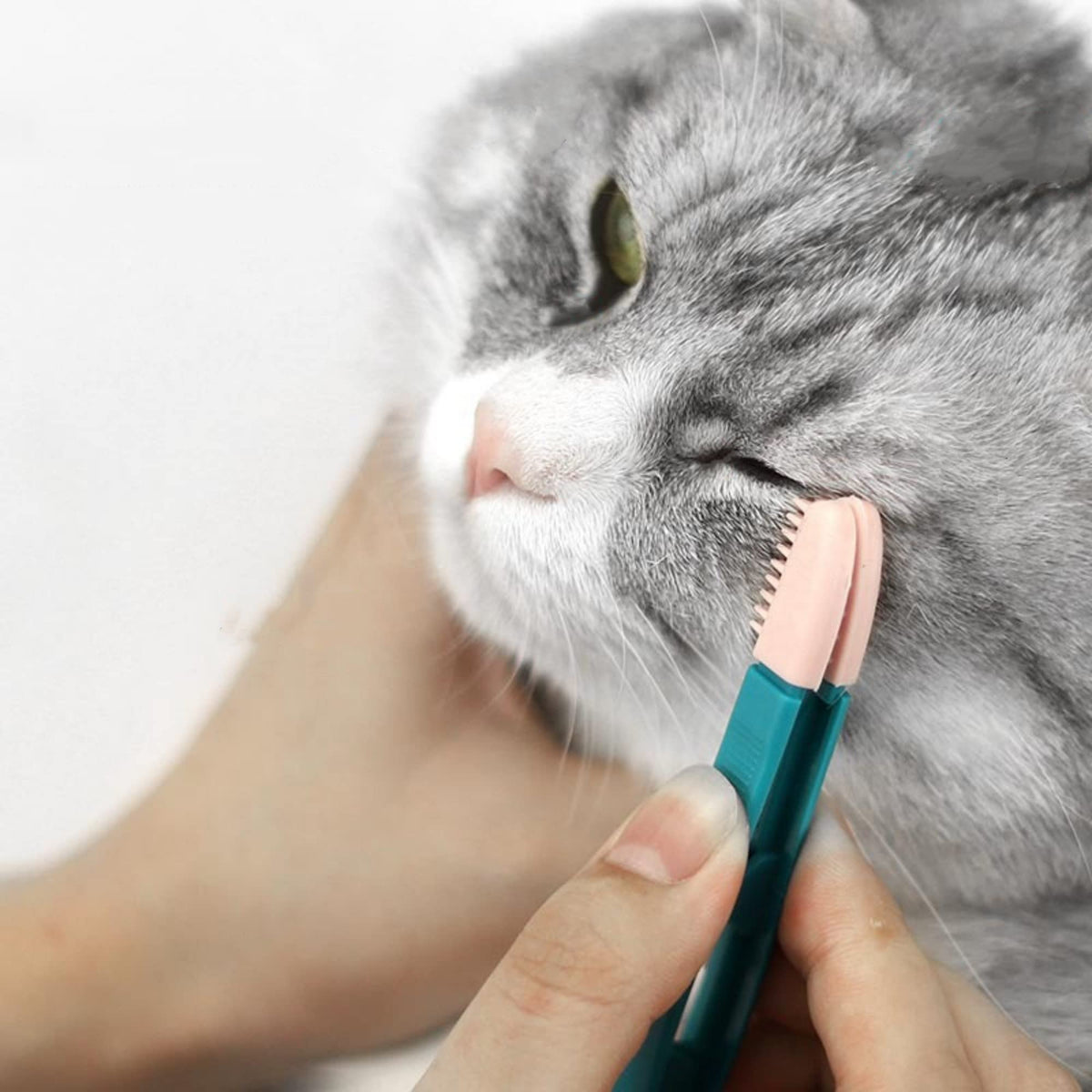 FANBODTA cat grooming brush cleans eye corners for tear stain management