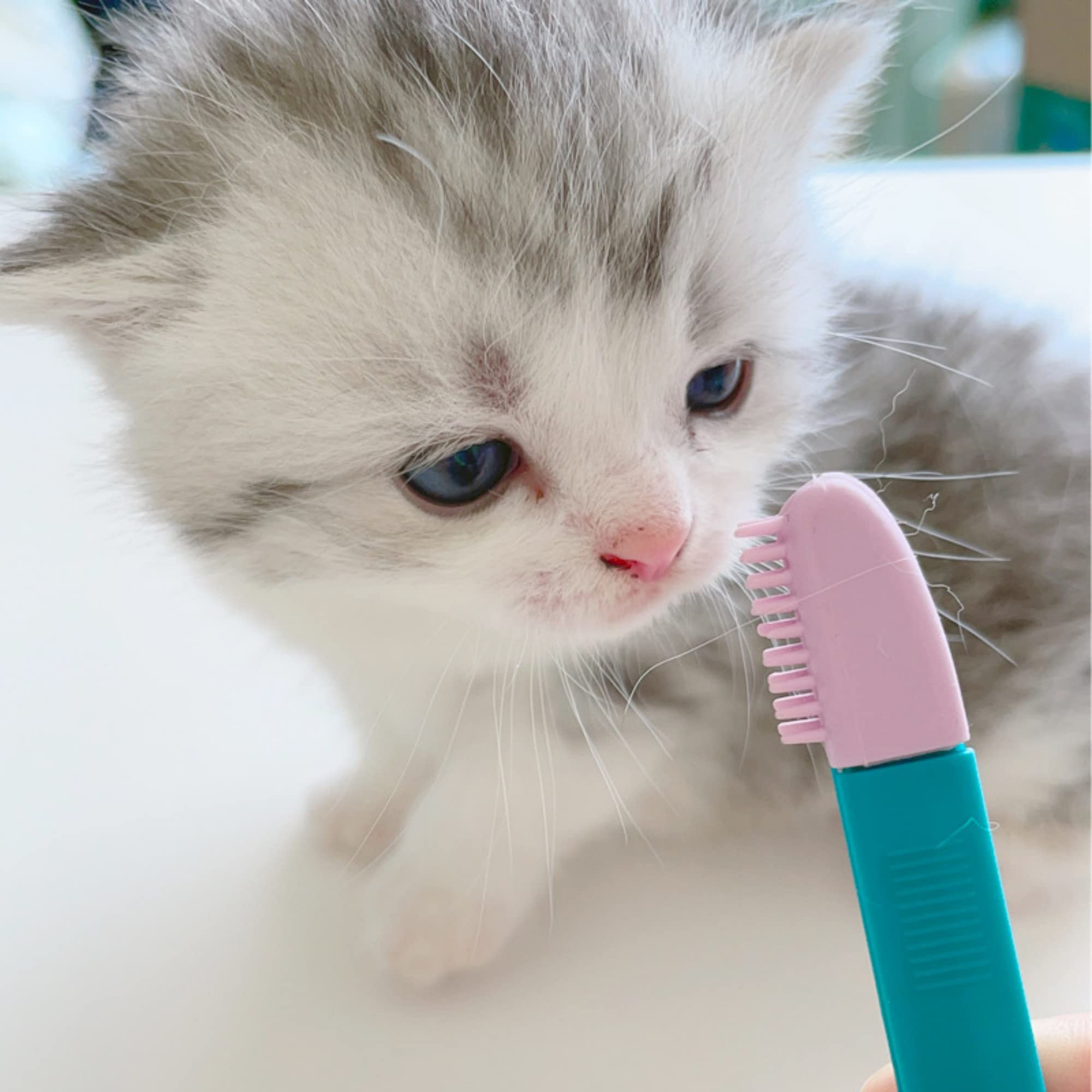 FANBODTA cat grooming brush targets tear stains around eyes for a tidy look