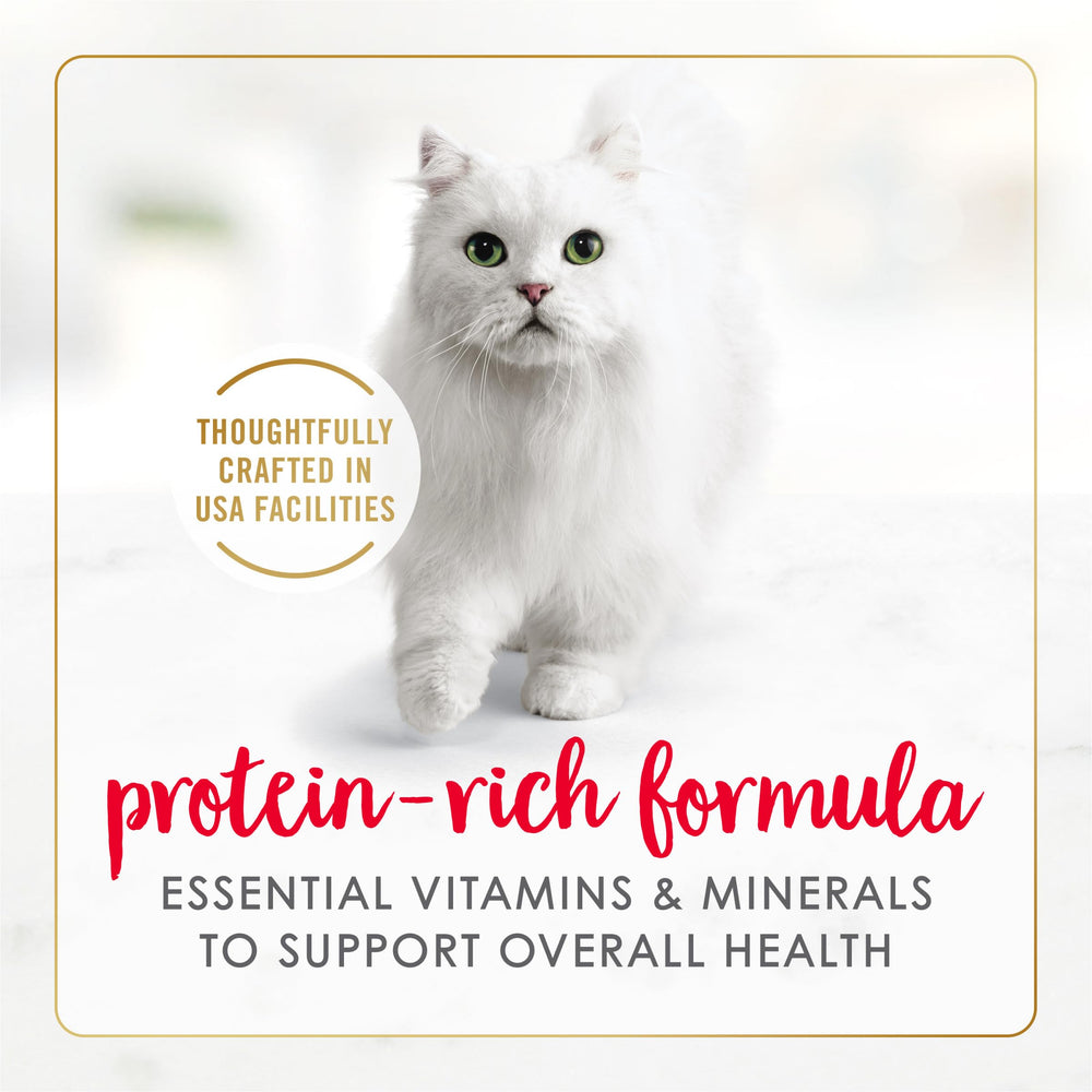 Fancy Feast cat enjoying wet-food bowl demonstrates appetizing aroma and crave-worthy flavor.