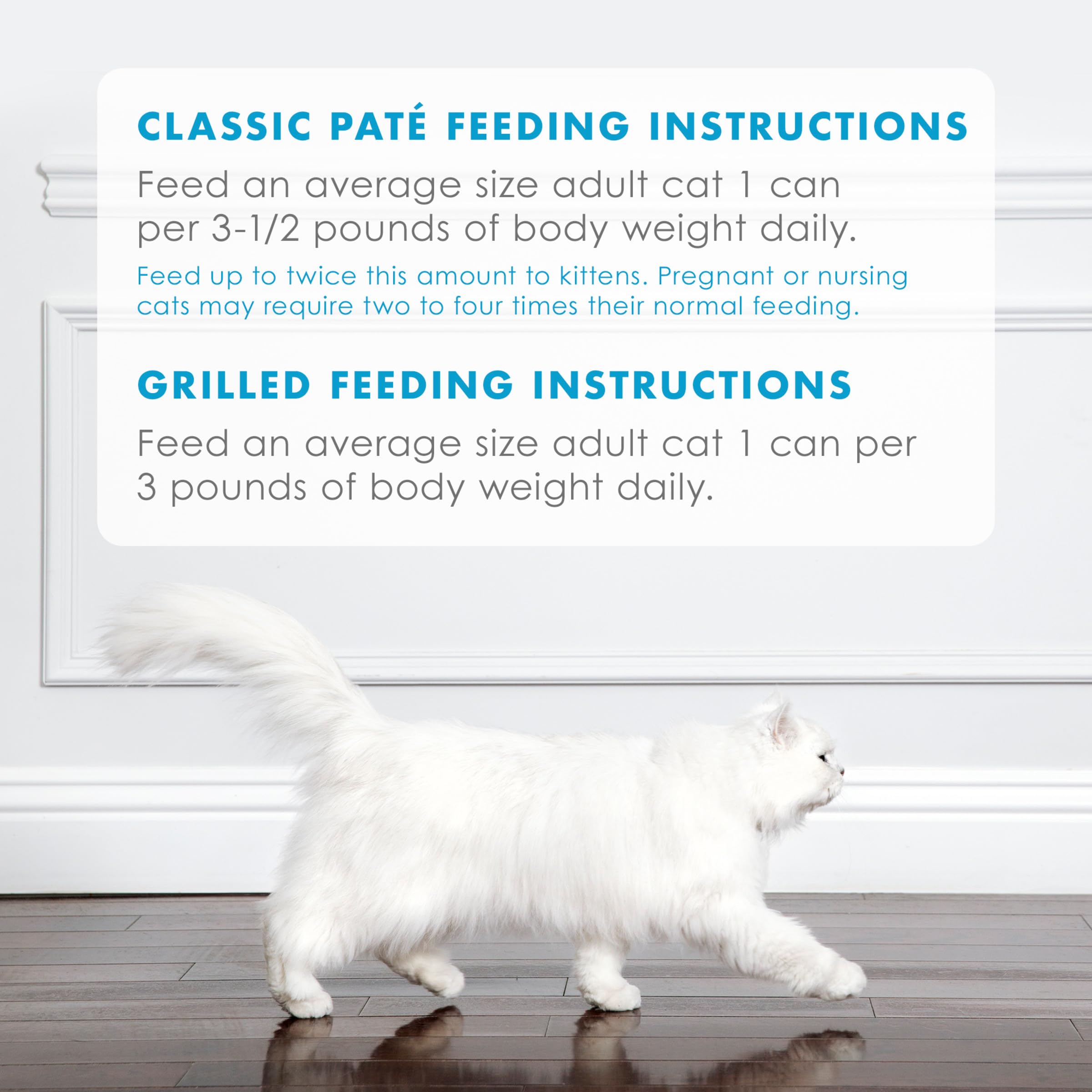 Fancy Feast creamy sauce texture close-up showcases moisture-rich bites