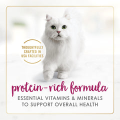 Fancy Feast Delights cheddar cheese shreds: savory bits appeal to cats with cheddar flavor.
