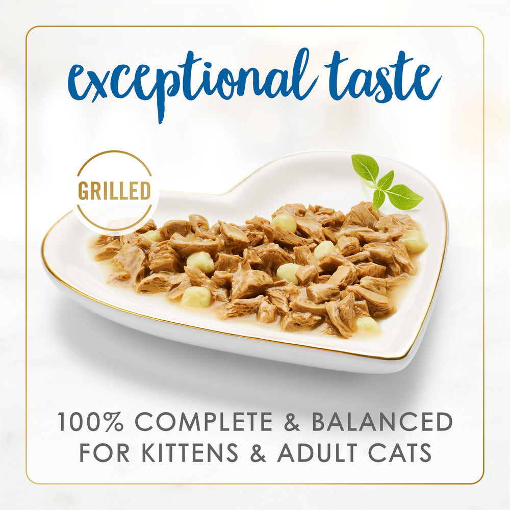 Fancy Feast Delights cheddar in gravy close-up — savory cheddar notes in gravy.