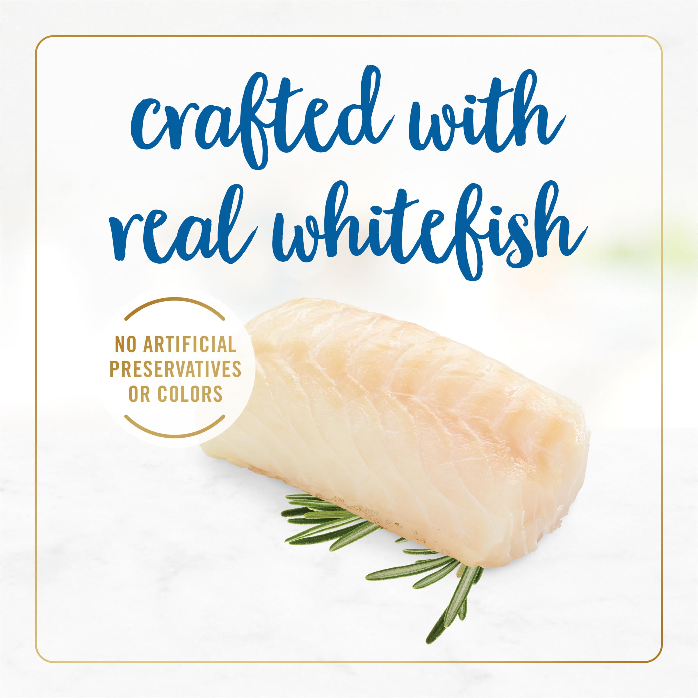 Fancy Feast Delights gravy aroma — enticing scent at mealtime.