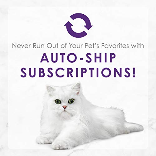 Fancy Feast Delights kitten-to-adult use — versatile feeding across life stages.