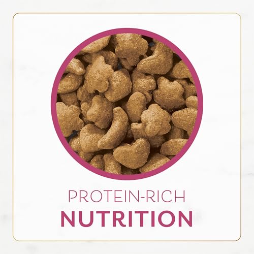 Close-up of Crunchy texture in Fancy Feast Filet Mignon morsels.