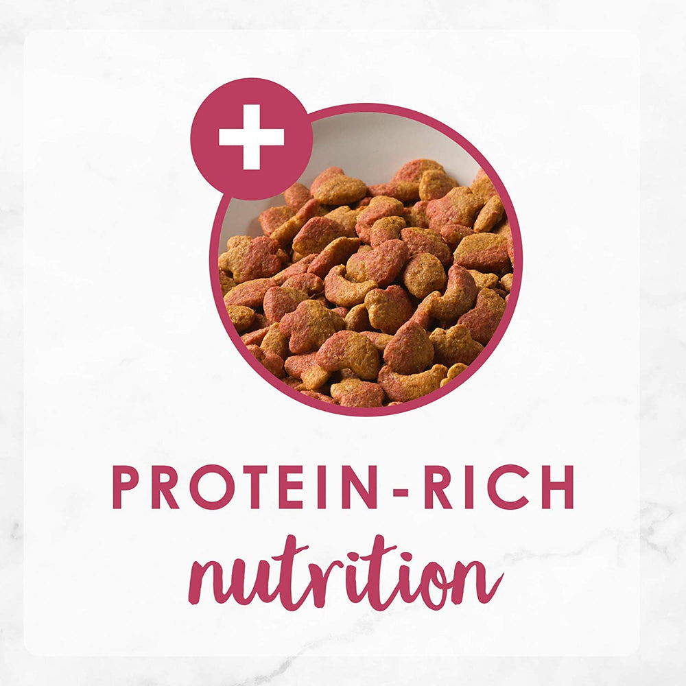Fancy Feast Gourmet Gold crunchy finish close-up captures appealing texture and aroma.